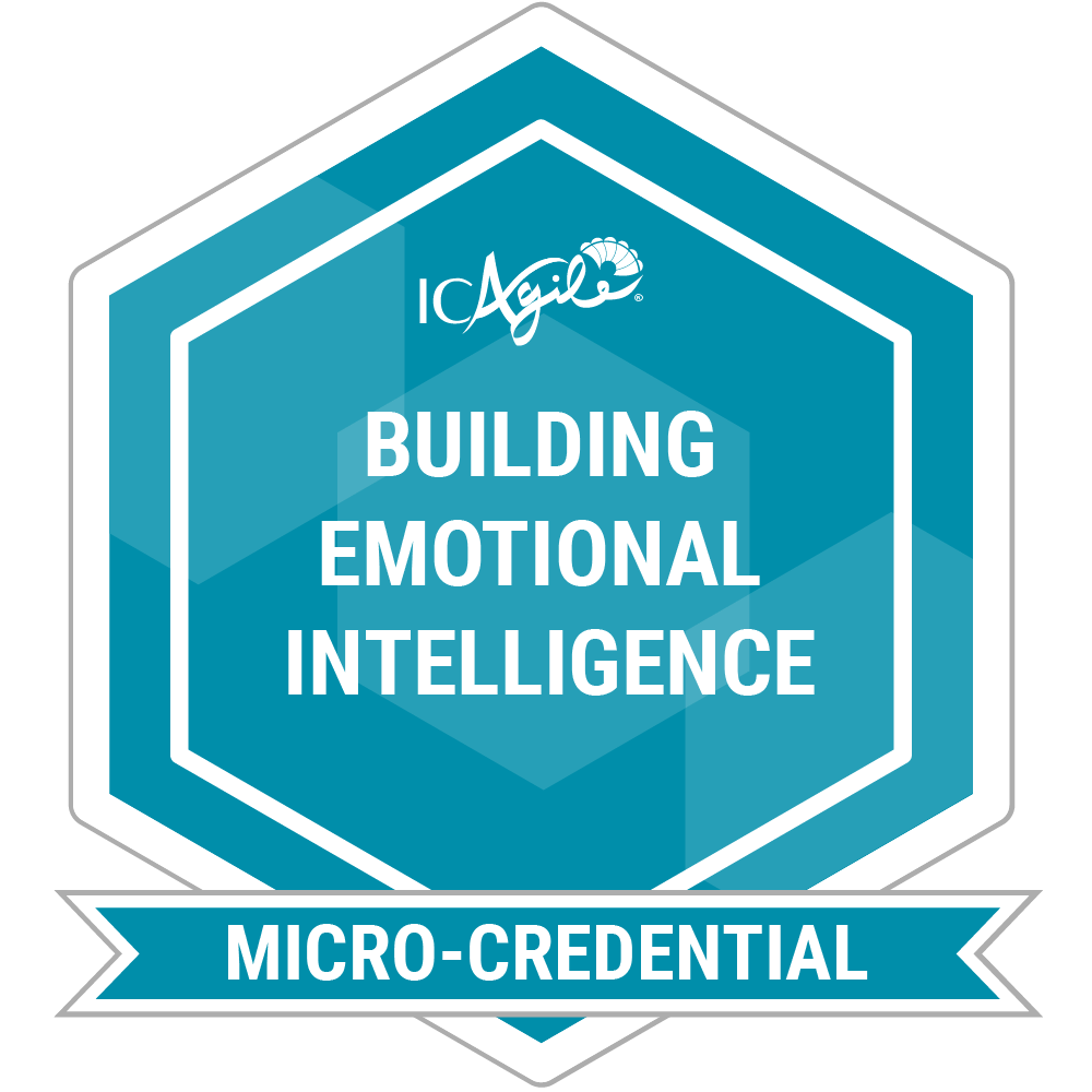 imc-ei badge